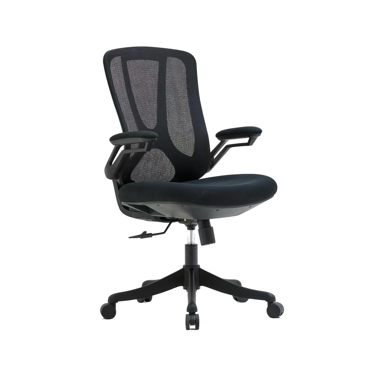 DR101 black
